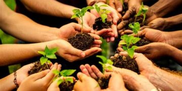 The Green Profit: Mastering Sustainable Business Strategy